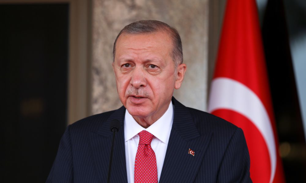 What Impact has Erdogan had on Turkey's Democratic Institutions?